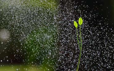 SEM Announces: Our Commitment to a Greener World